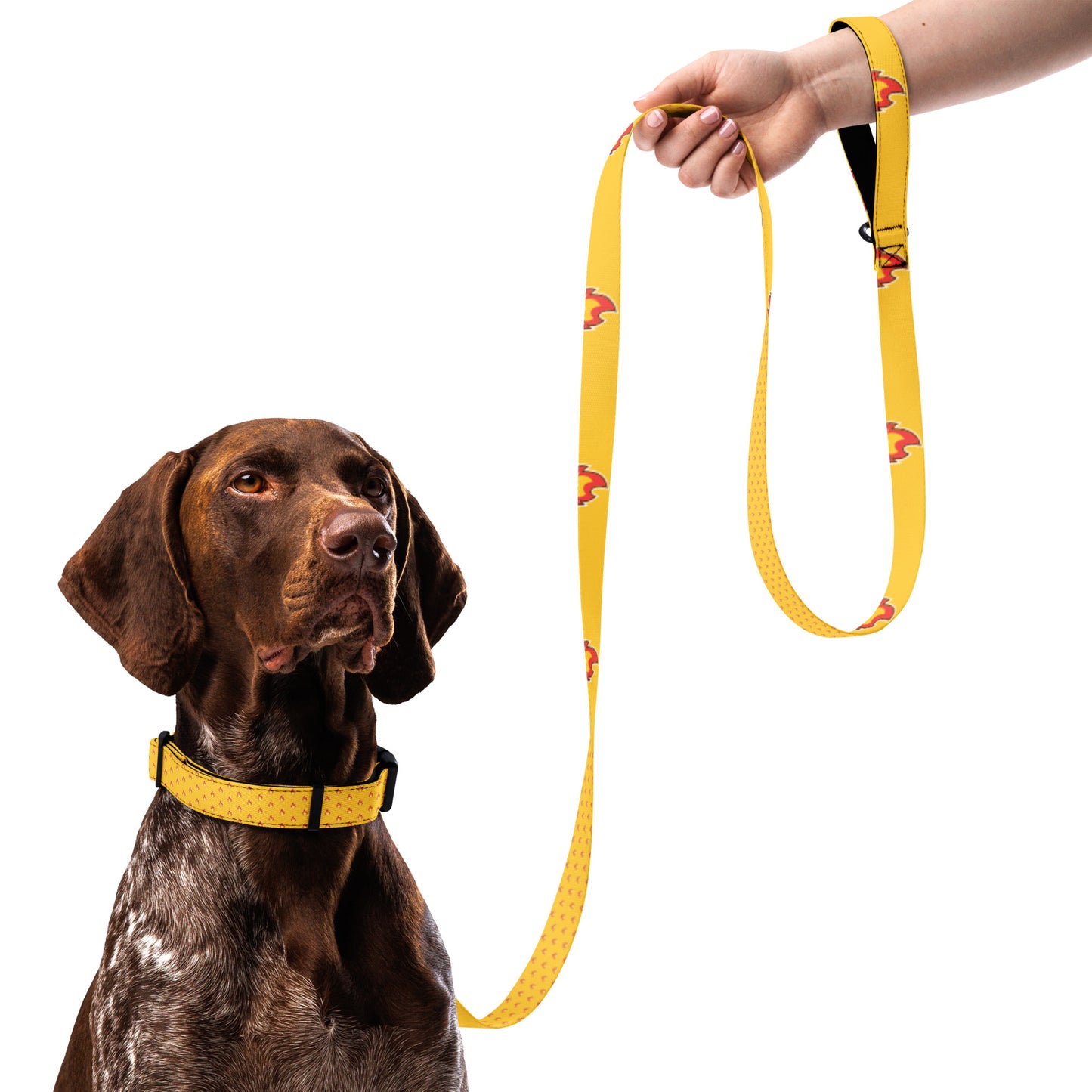 Burns Within Flames Pet collar & leash