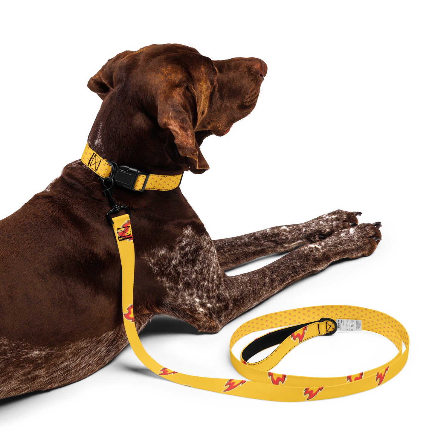 Burns Within Flames Pet collar & leash