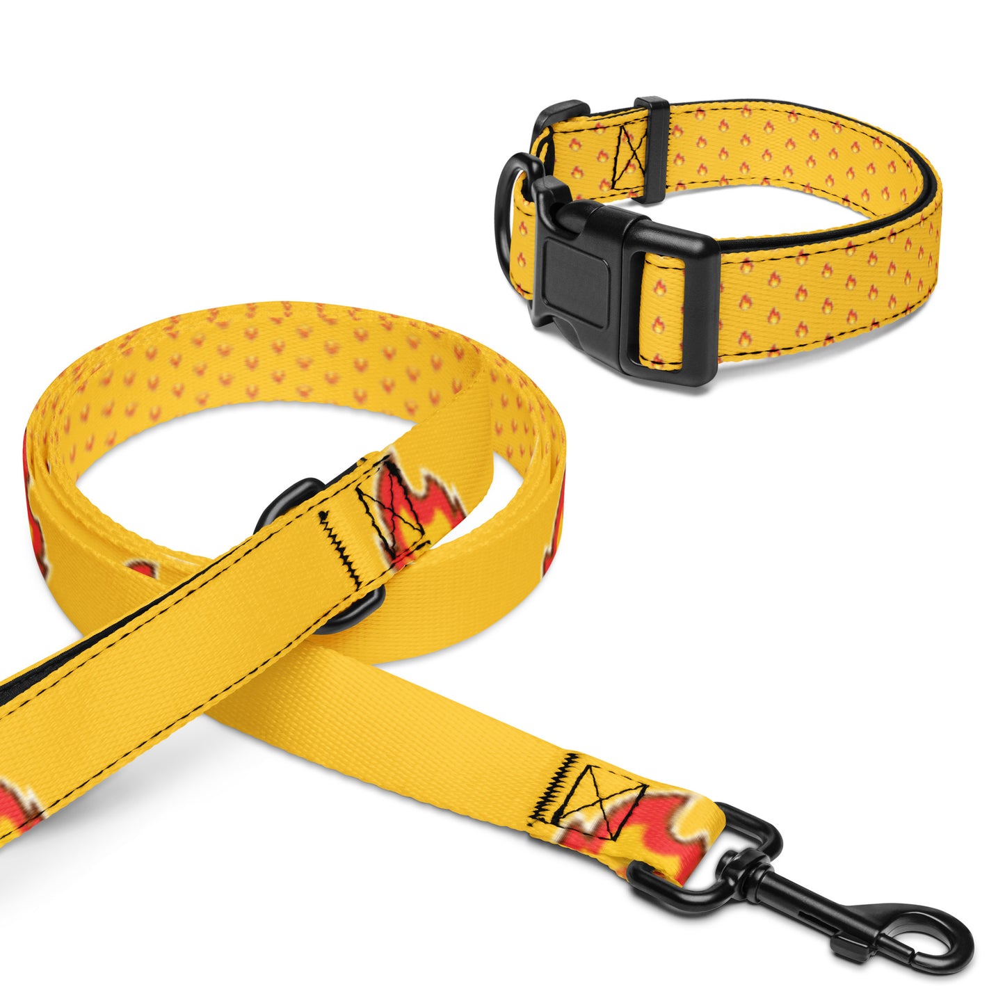 Burns Within Flames Pet collar & leash