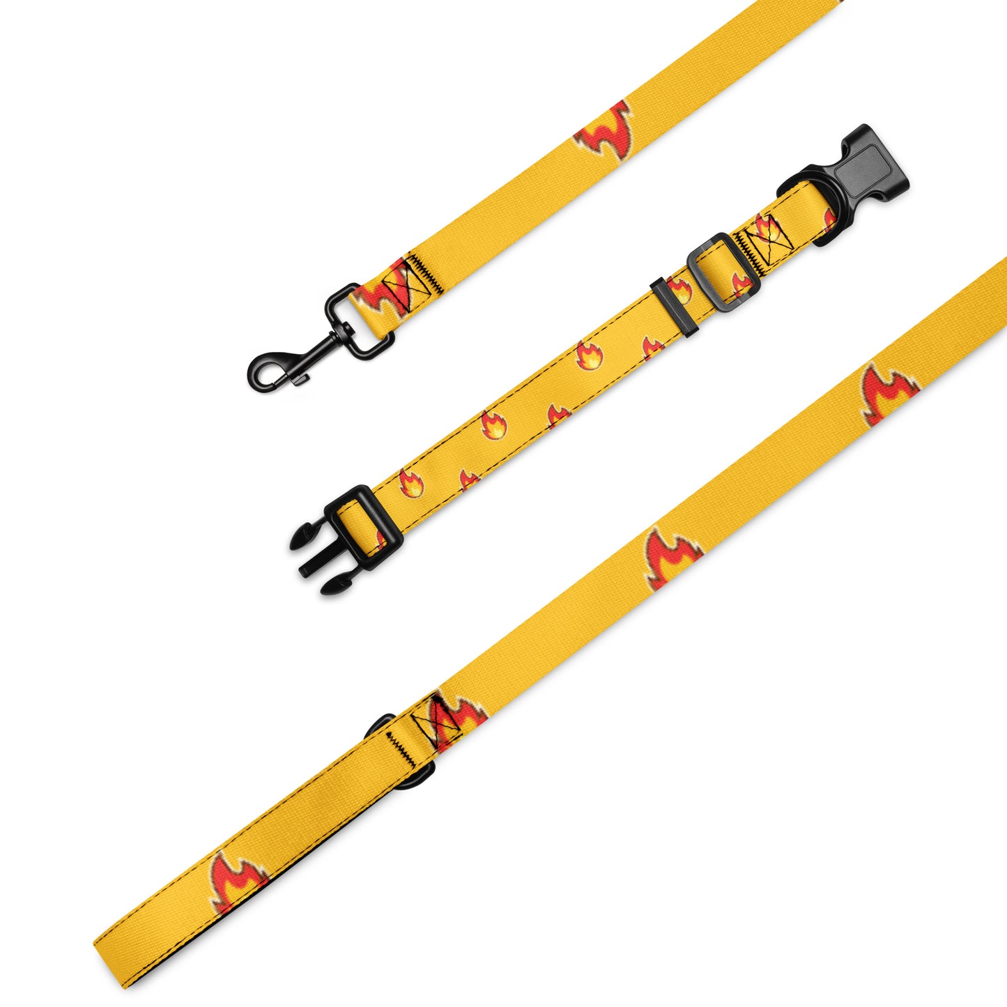 Burns Within Flames Pet collar & leash