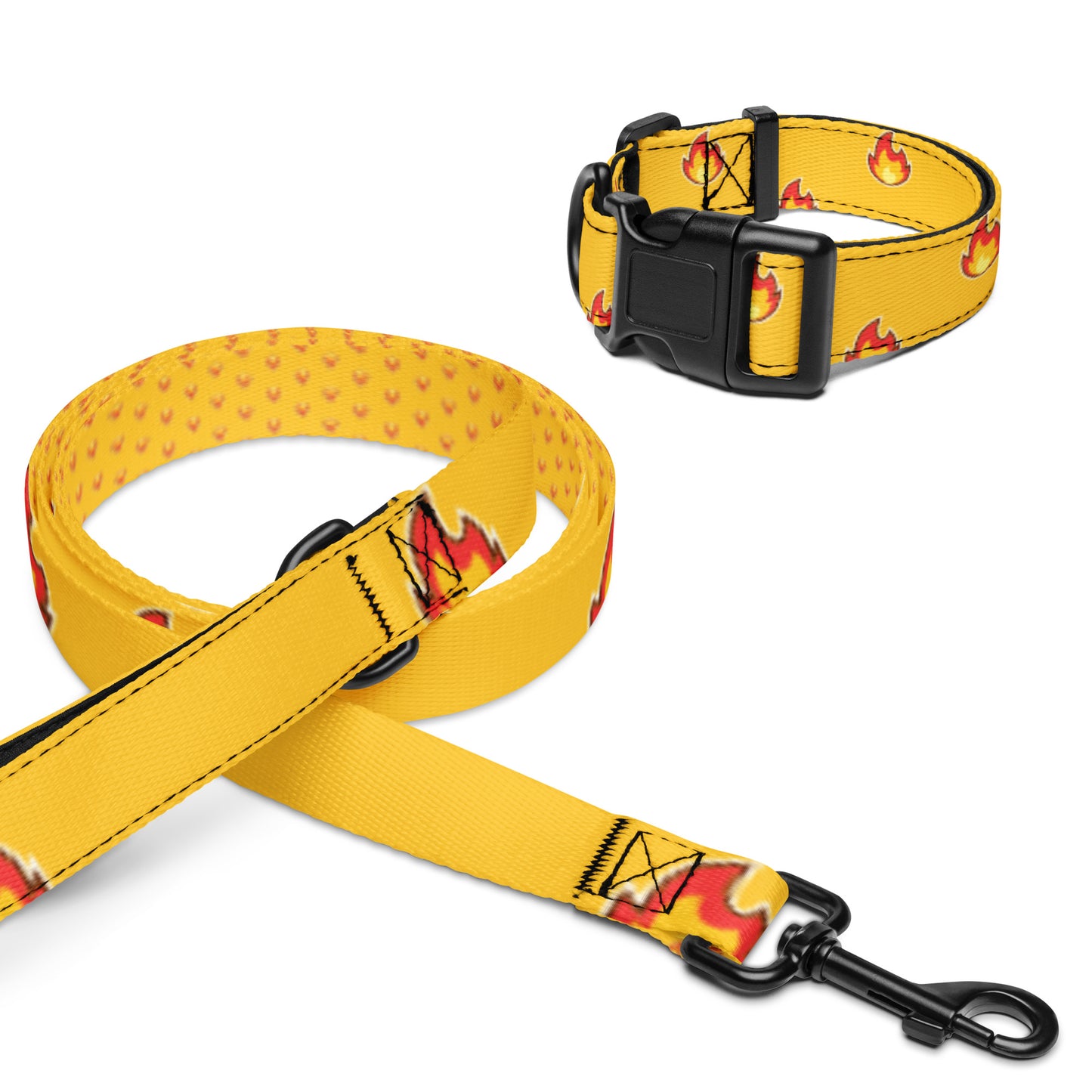 Burns Within Flames Pet collar & leash