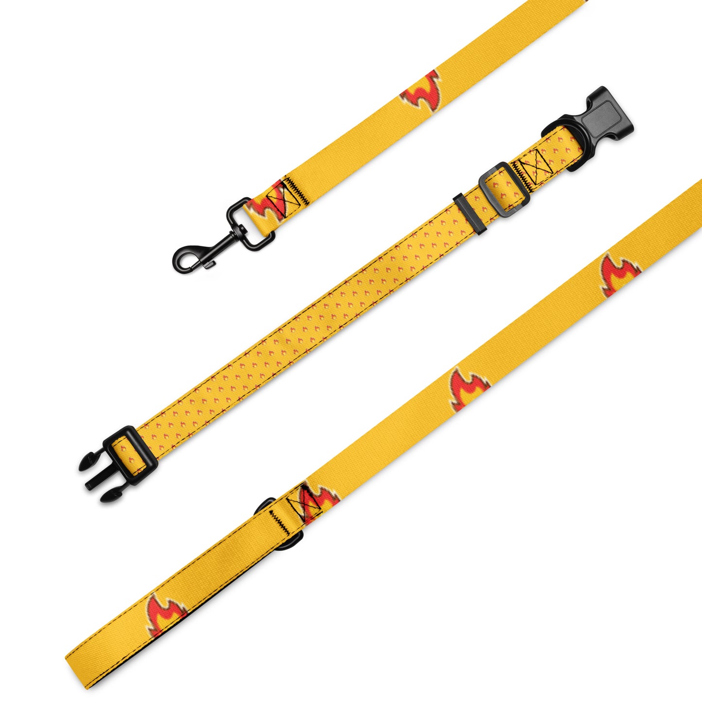 Burns Within Flames Pet collar & leash