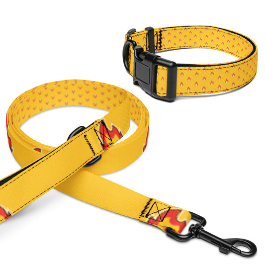 Burns Within Flames Pet collar & leash